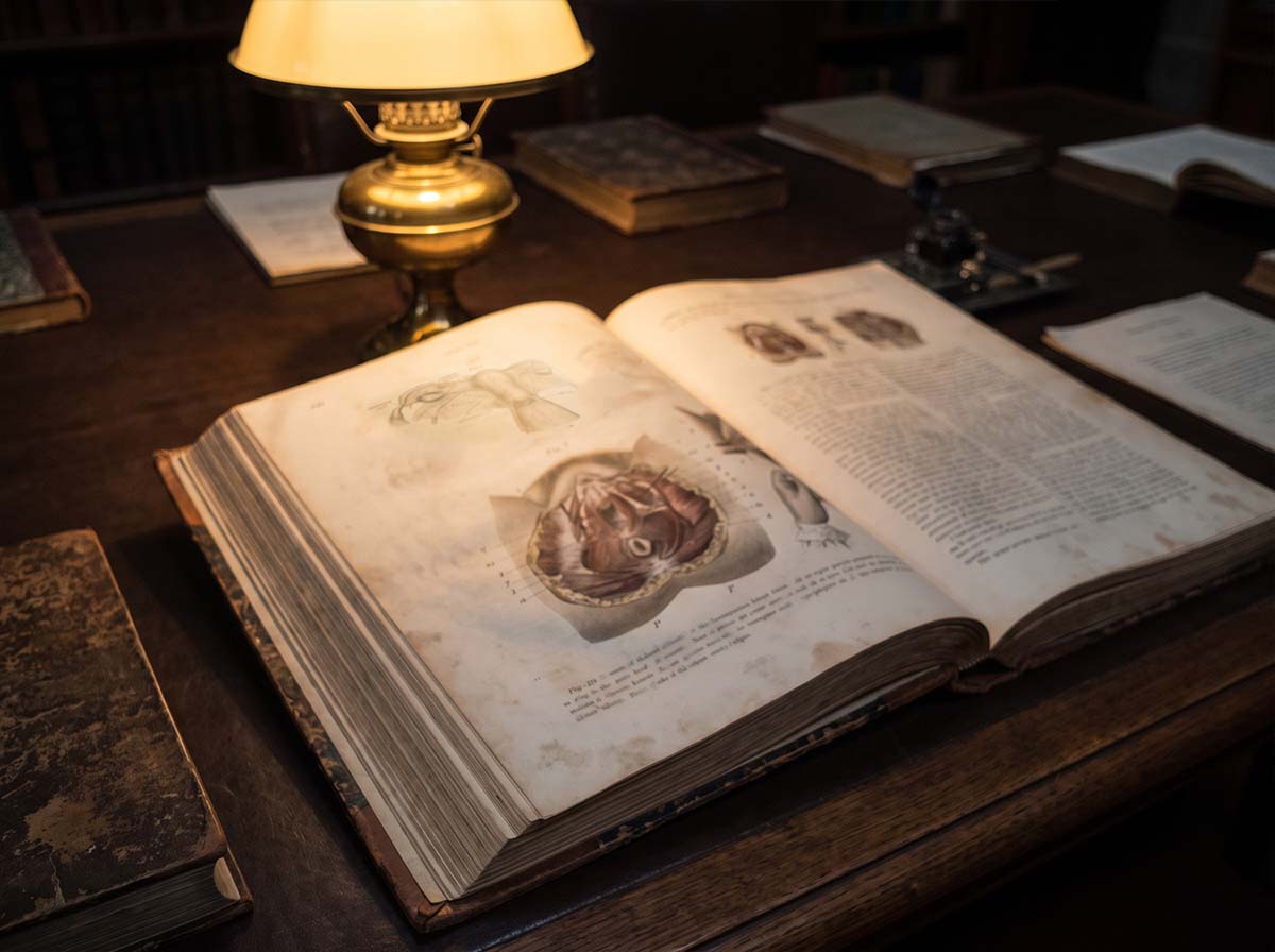 An open nineteenth-century anatomical atlas on a library table under lamplight