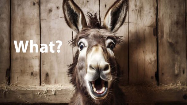 ¿Burro sorprendido con la boca abierta?