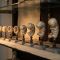 Modelos didácticos embriológicos del siglo XIX dispuestos en secuencia en una vitrina de museo iluminada, que ilustran las etapas del desarrollo fetal